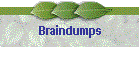Braindumps