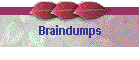 Braindumps